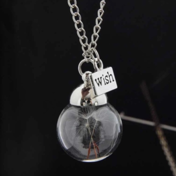 wish bottle necklace , keep your beautiful dream with you - Picture 6 of 7
